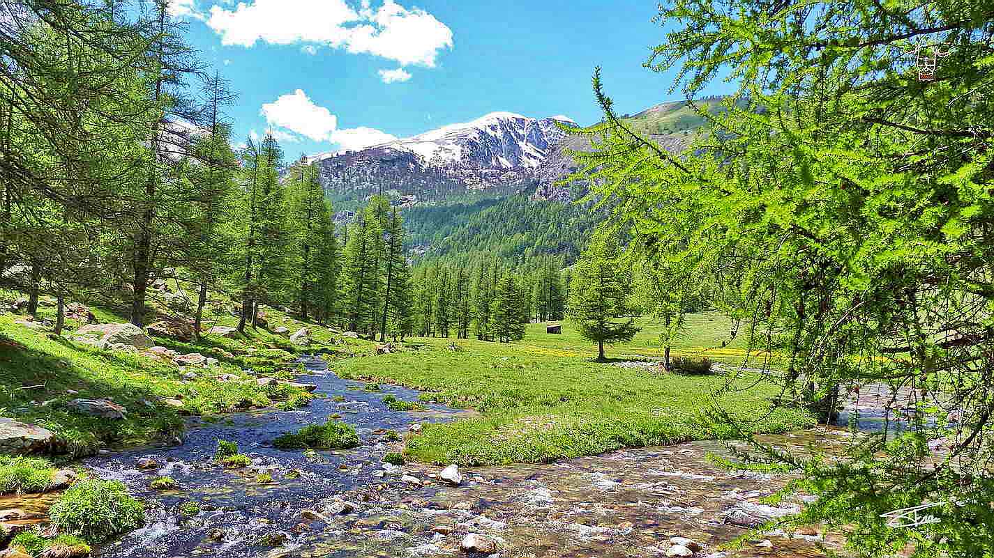 vallon de Valaurette